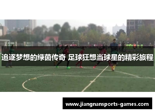 追逐梦想的绿茵传奇 足球狂想当球星的精彩旅程