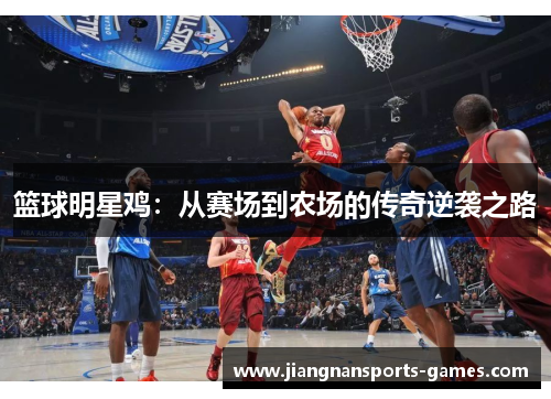 篮球明星鸡：从赛场到农场的传奇逆袭之路